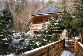 Forest House- dom nad górskim potokiem